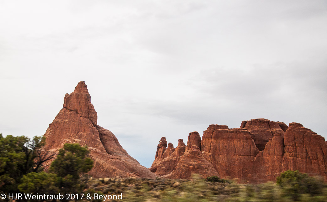 DSC_8737.jpg