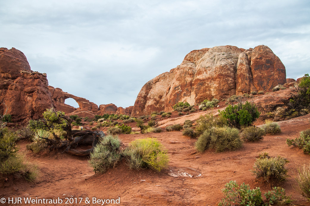 DSC_8741.jpg