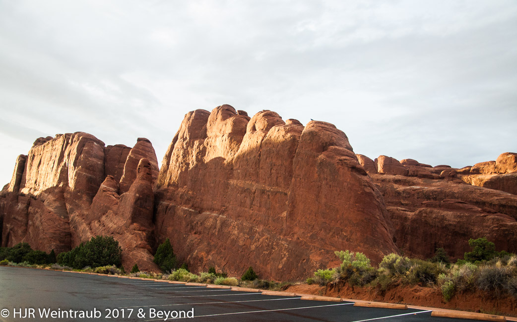 DSC_8750.jpg