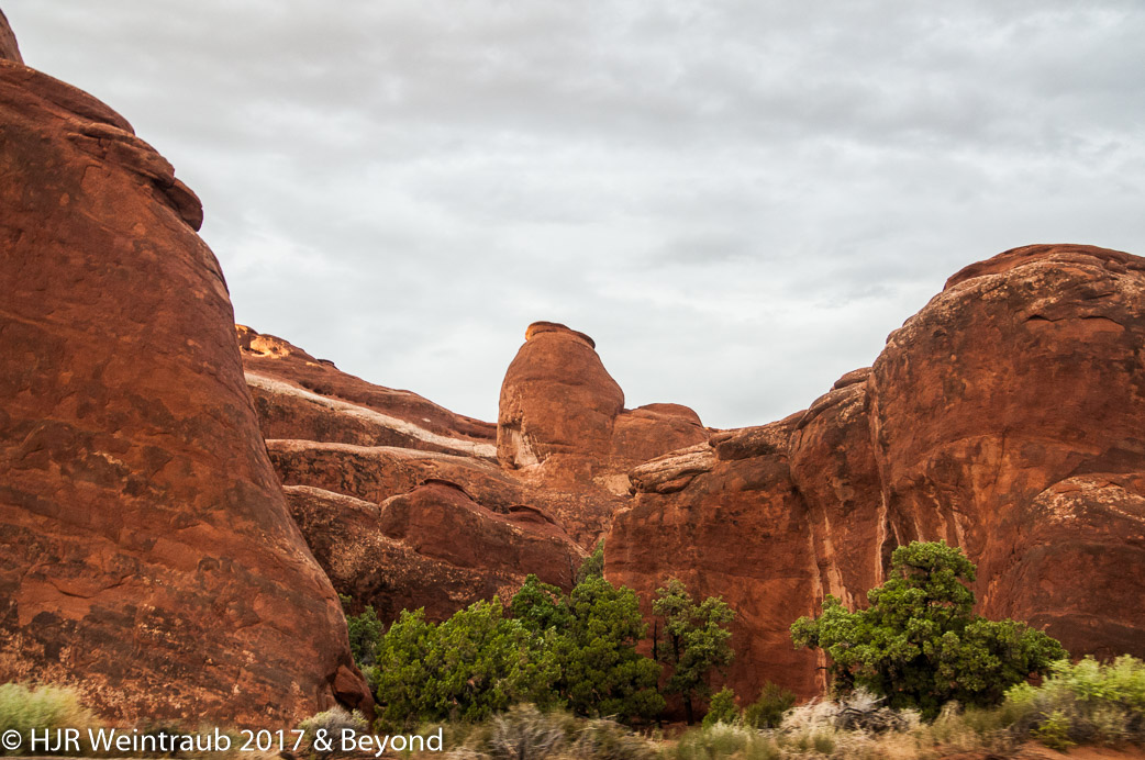 DSC_8751.jpg