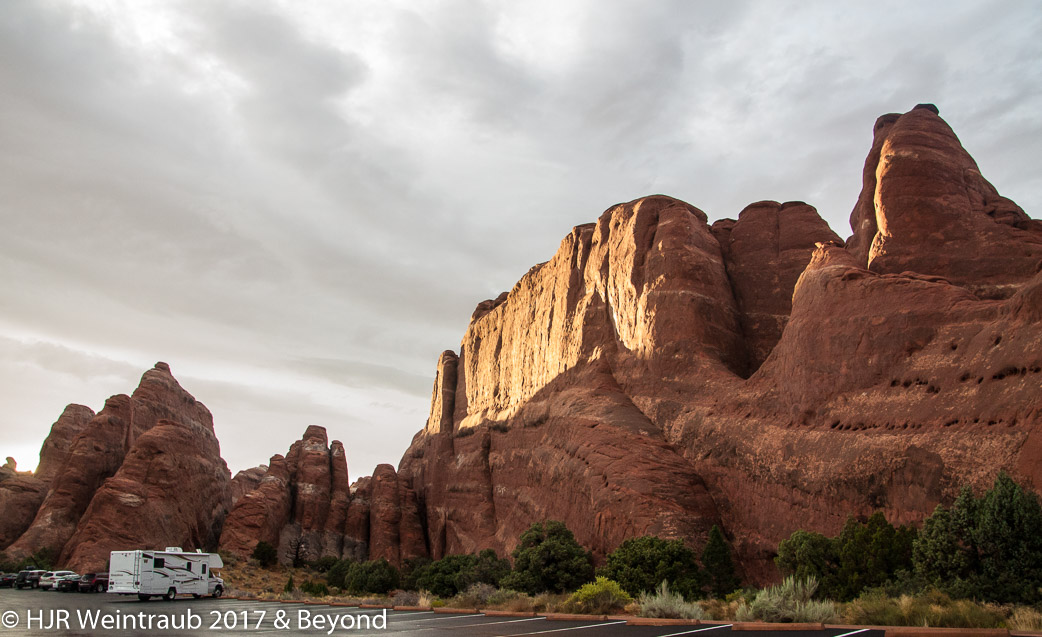 DSC_8753.jpg
