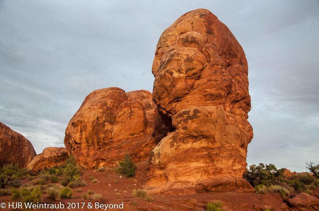 DSC_8771.jpg