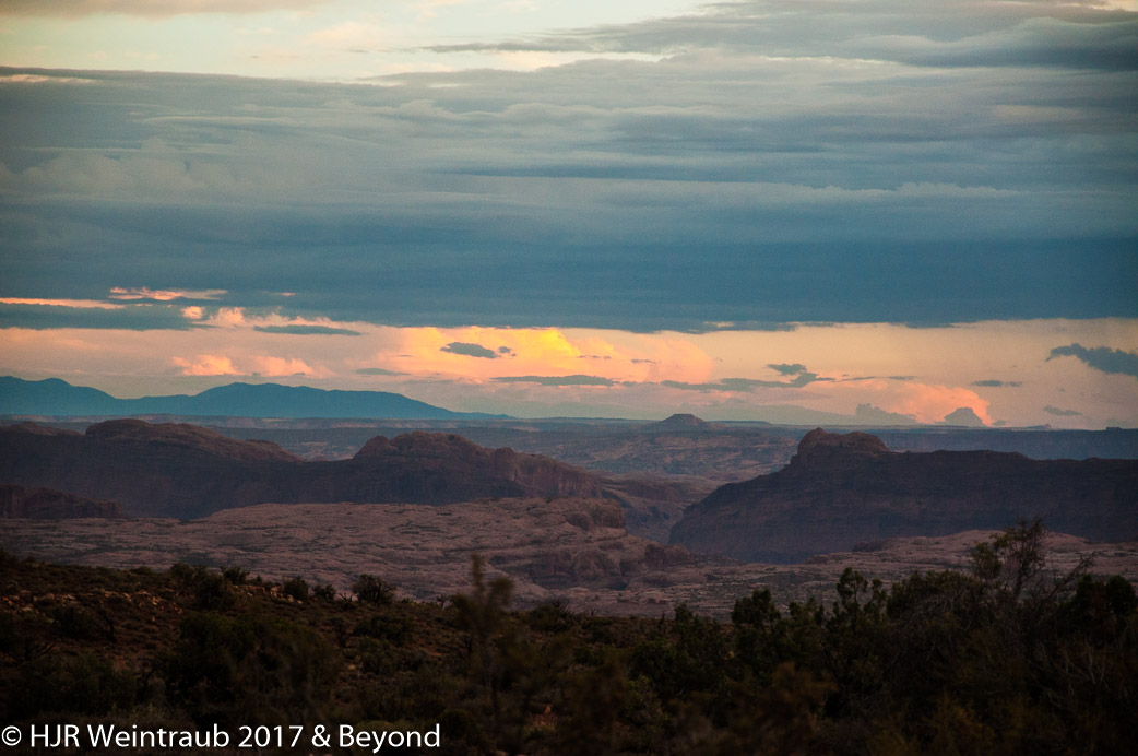 DSC_8773.jpg
