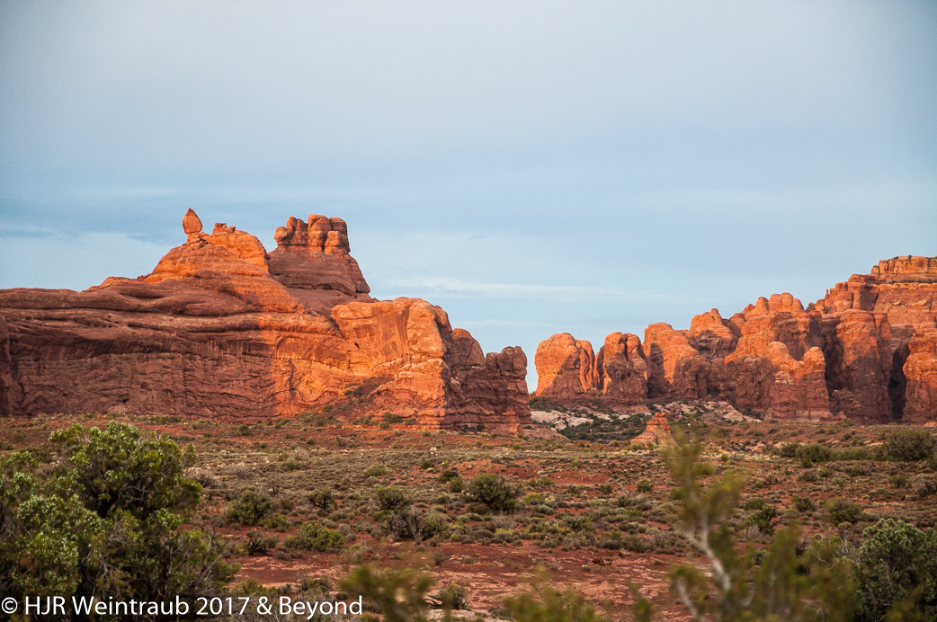 DSC_8776.jpg