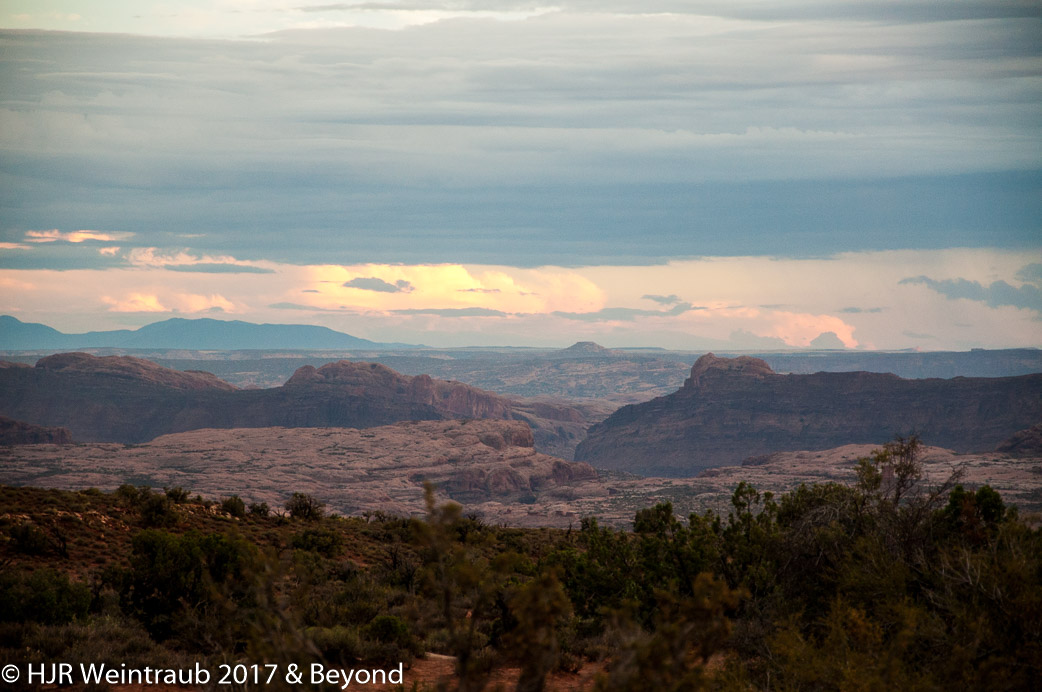 DSC_8777.jpg