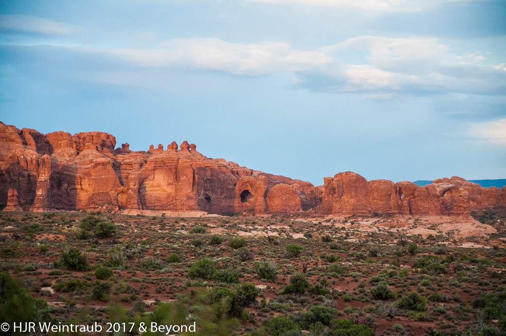DSC_8781.jpg