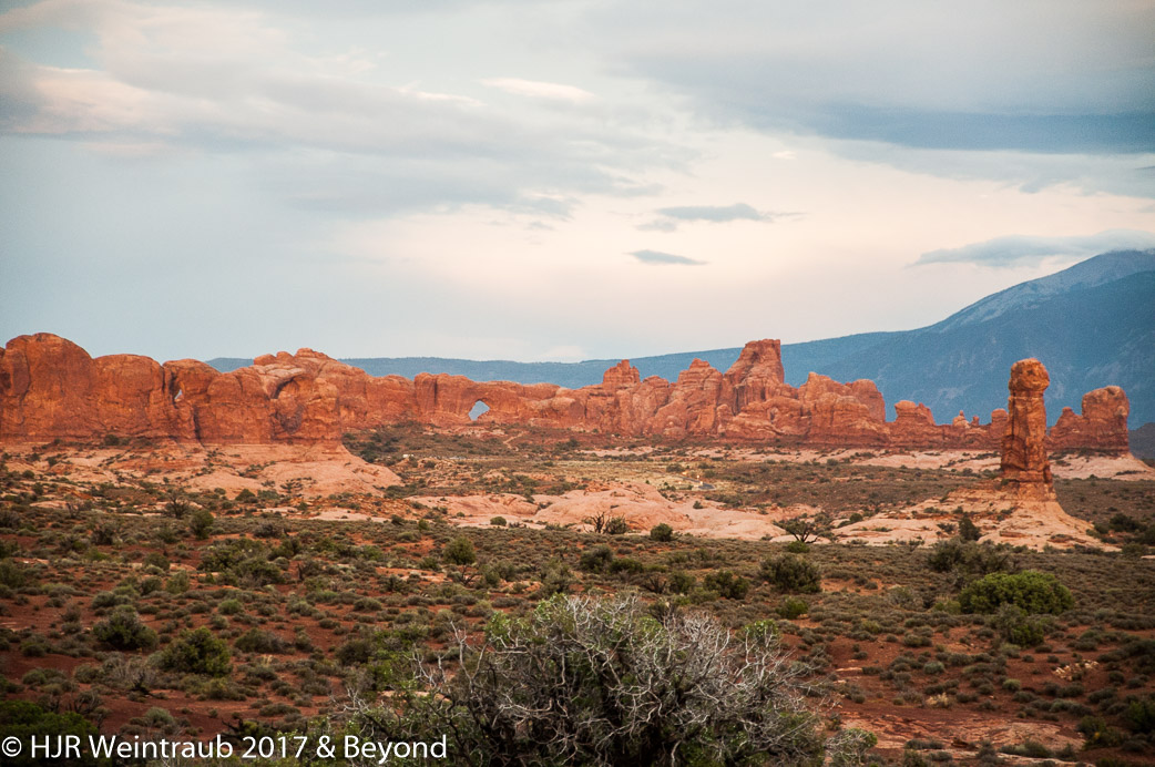 DSC_8782.jpg