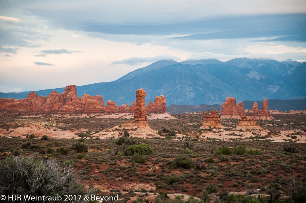 DSC_8783.jpg