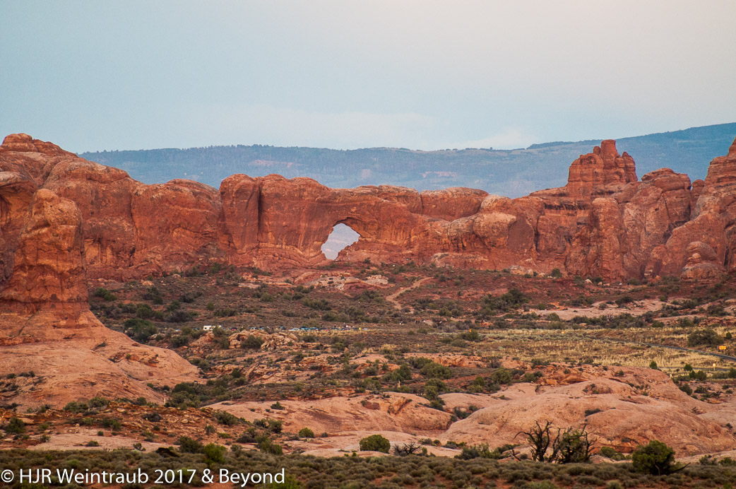 DSC_8784.jpg