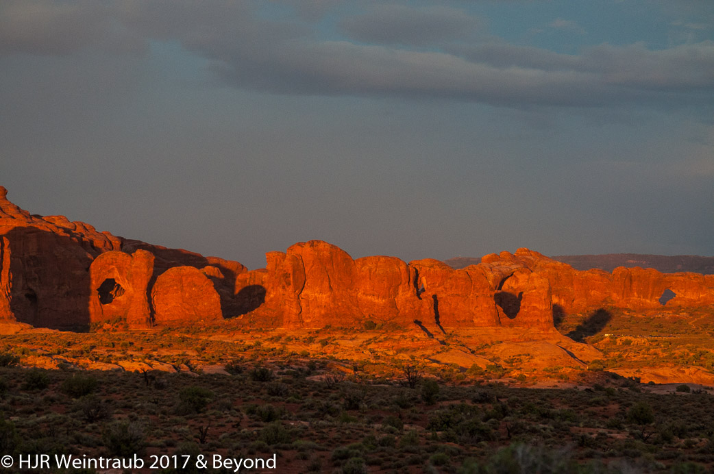 DSC_8792.jpg