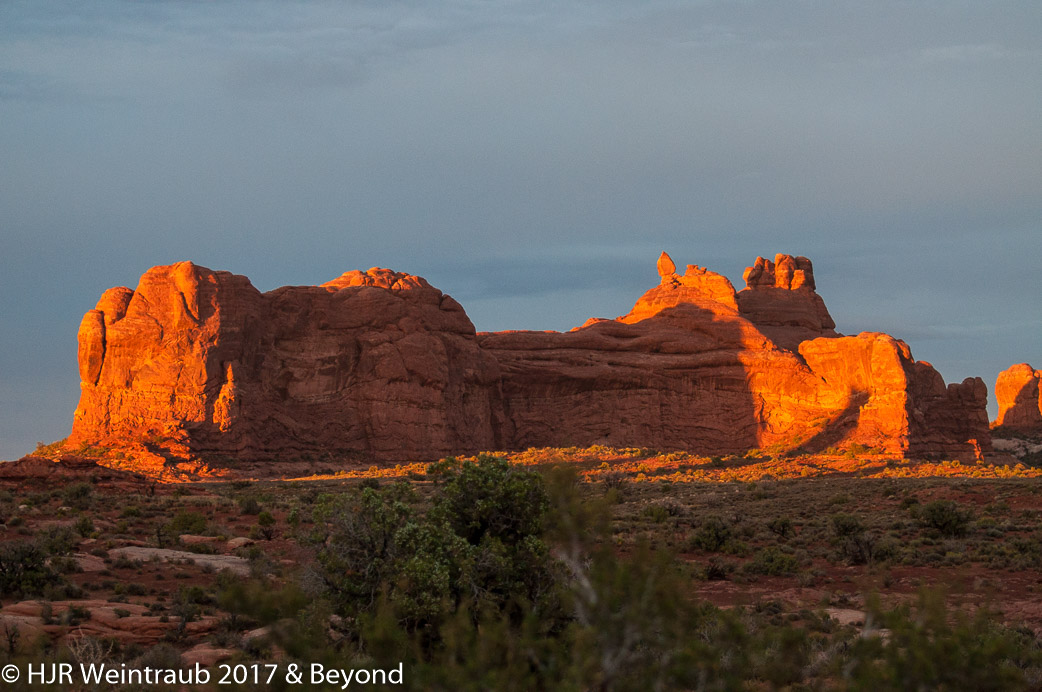 DSC_8793.jpg