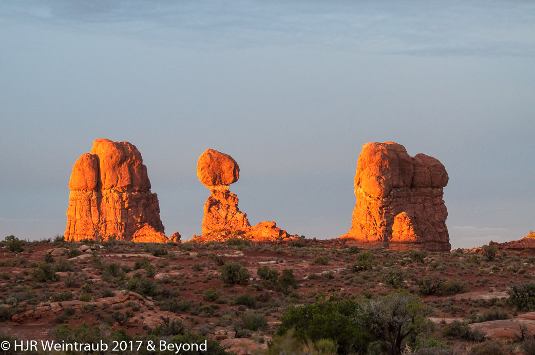 DSC_8794.jpg