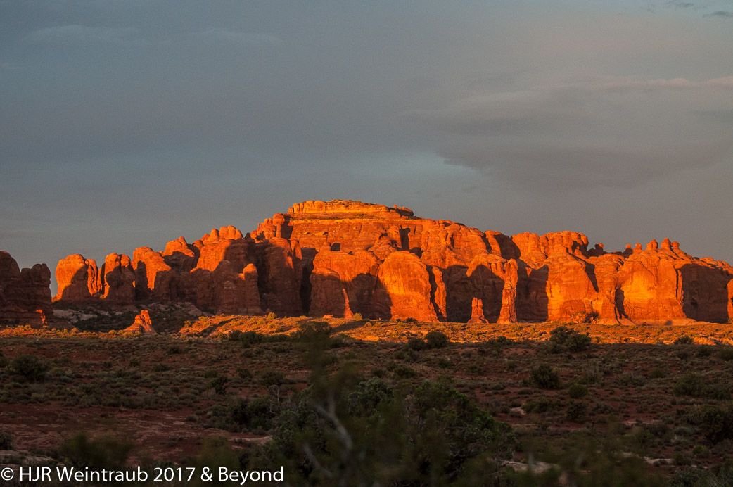 DSC_8801.jpg