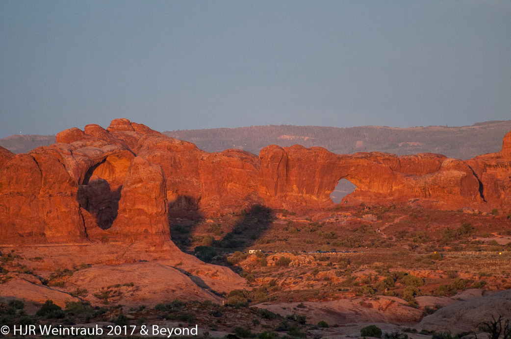 DSC_8808.jpg