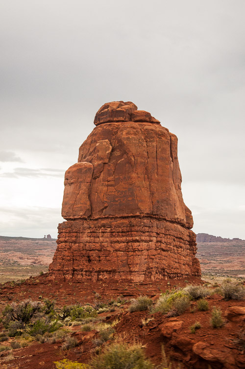 DSC_8643.jpg