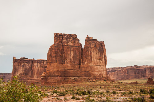 DSC_8647.jpg