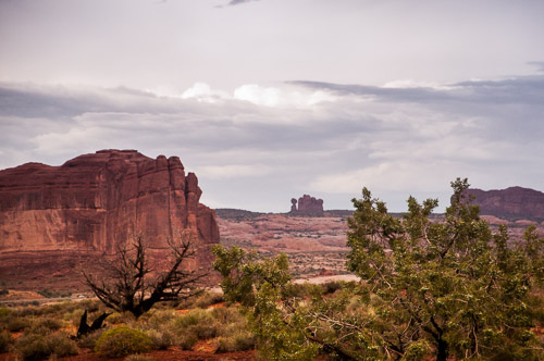 DSC_8655.jpg