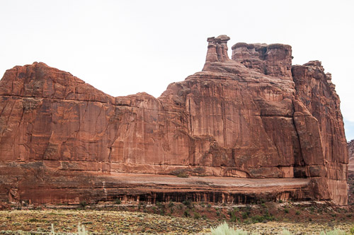 DSC_8658.jpg