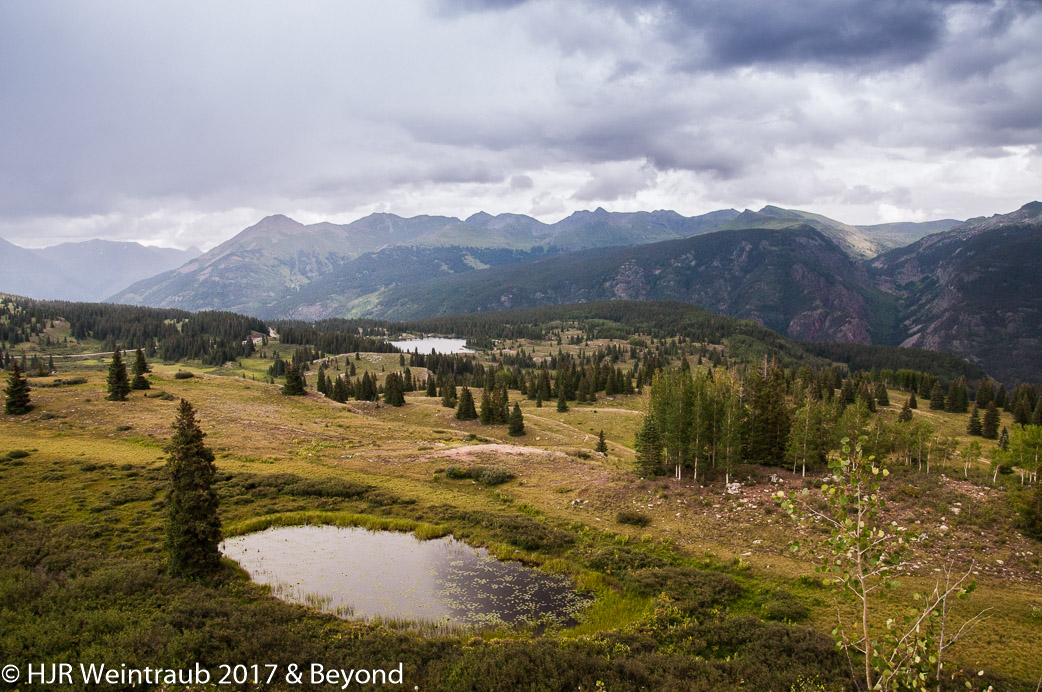 DSC_9050.jpg