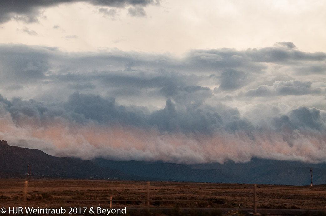 DSC_9104.jpg