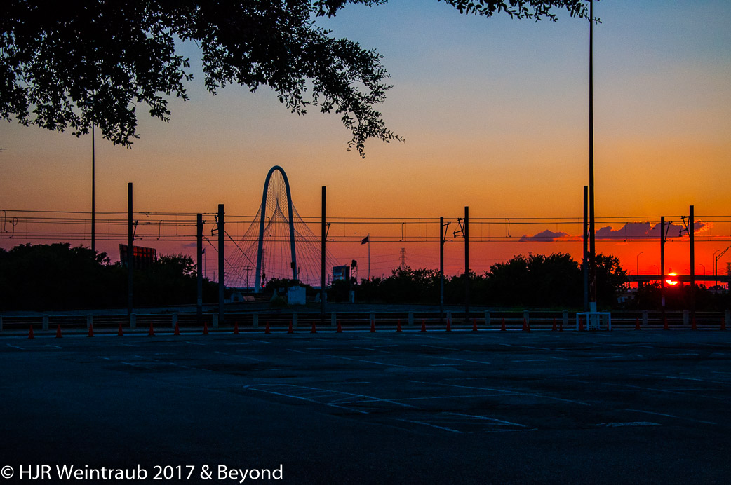 DSC_9769.jpg