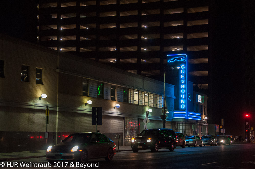 DSC_9856.jpg