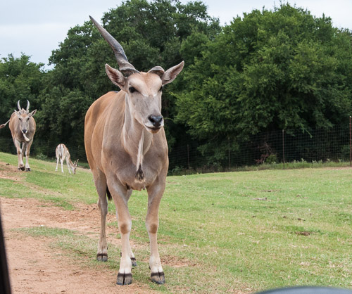 DSC_9555.jpg DSC_9555.jpg