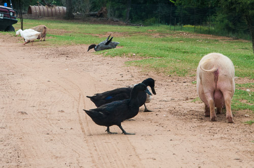 DSC_9557.jpg DSC_9557.jpg