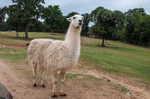 DSC_9570.jpg DSC_9570.jpg