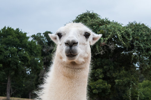 DSC_9571.jpg DSC_9571.jpg