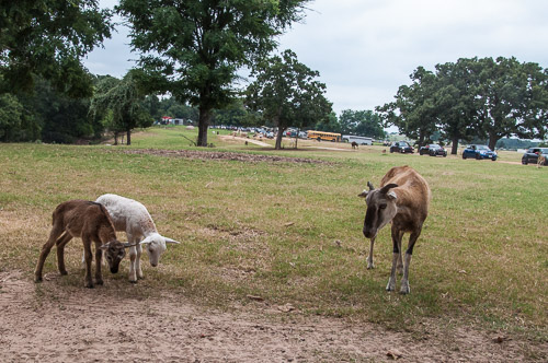 DSC_9586.jpg DSC_9586.jpg