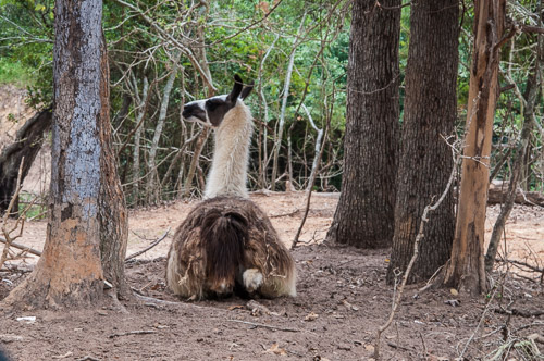 DSC_9587.jpg DSC_9587.jpg