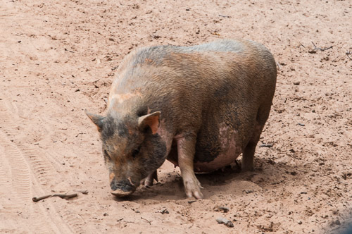 DSC_9591.jpg DSC_9591.jpg