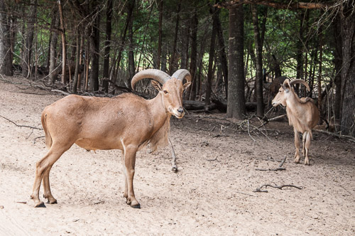 DSC_9596.jpg DSC_9596.jpg