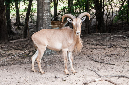 DSC_9599.jpg DSC_9599.jpg