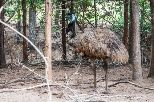 DSC_9602.jpg DSC_9602.jpg