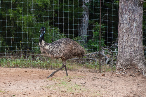 DSC_9605.jpg DSC_9605.jpg