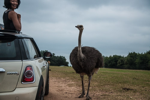 DSC_9613.jpg DSC_9613.jpg