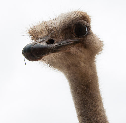 DSC_9616.jpg DSC_9616.jpg