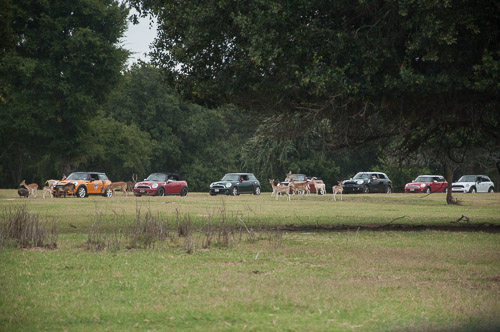 DSC_9617.jpg DSC_9617.jpg