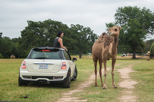 DSC_9621.jpg DSC_9621.jpg