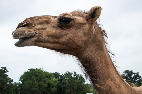 DSC_9623.jpg DSC_9623.jpg