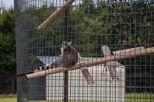 DSC_9627.jpg DSC_9627.jpg