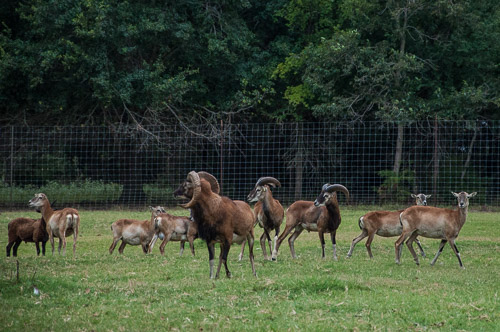 DSC_9629.jpg DSC_9629.jpg