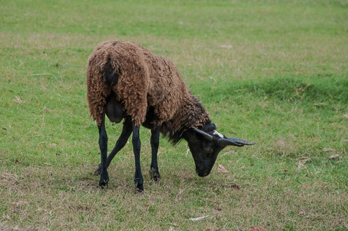 DSC_9632.jpg DSC_9632.jpg