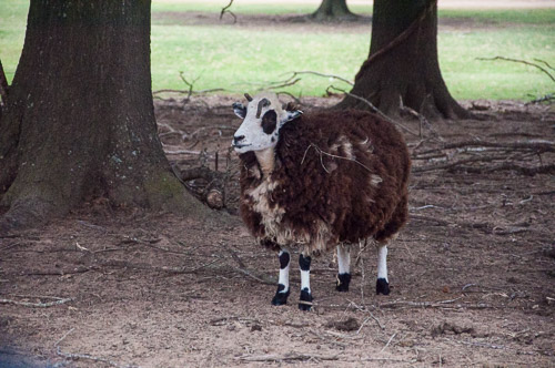 DSC_9635.jpg DSC_9635.jpg