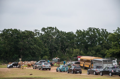 DSC_9639.jpg DSC_9639.jpg