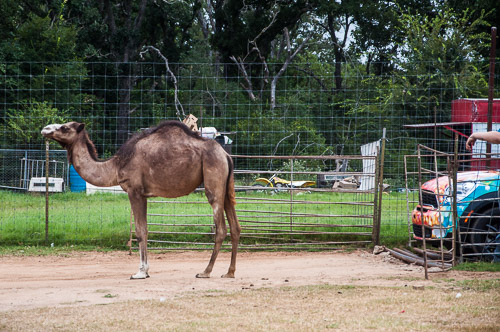 DSC_9654.jpg DSC_9654.jpg