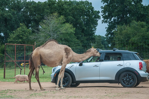 DSC_9655.jpg DSC_9655.jpg