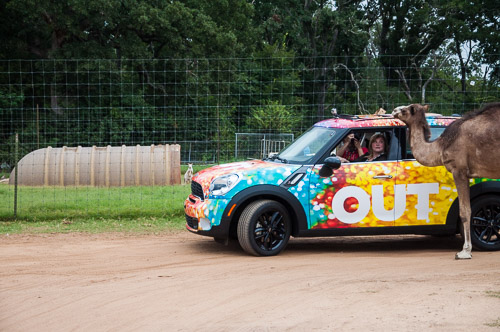 DSC_9658.jpg DSC_9658.jpg